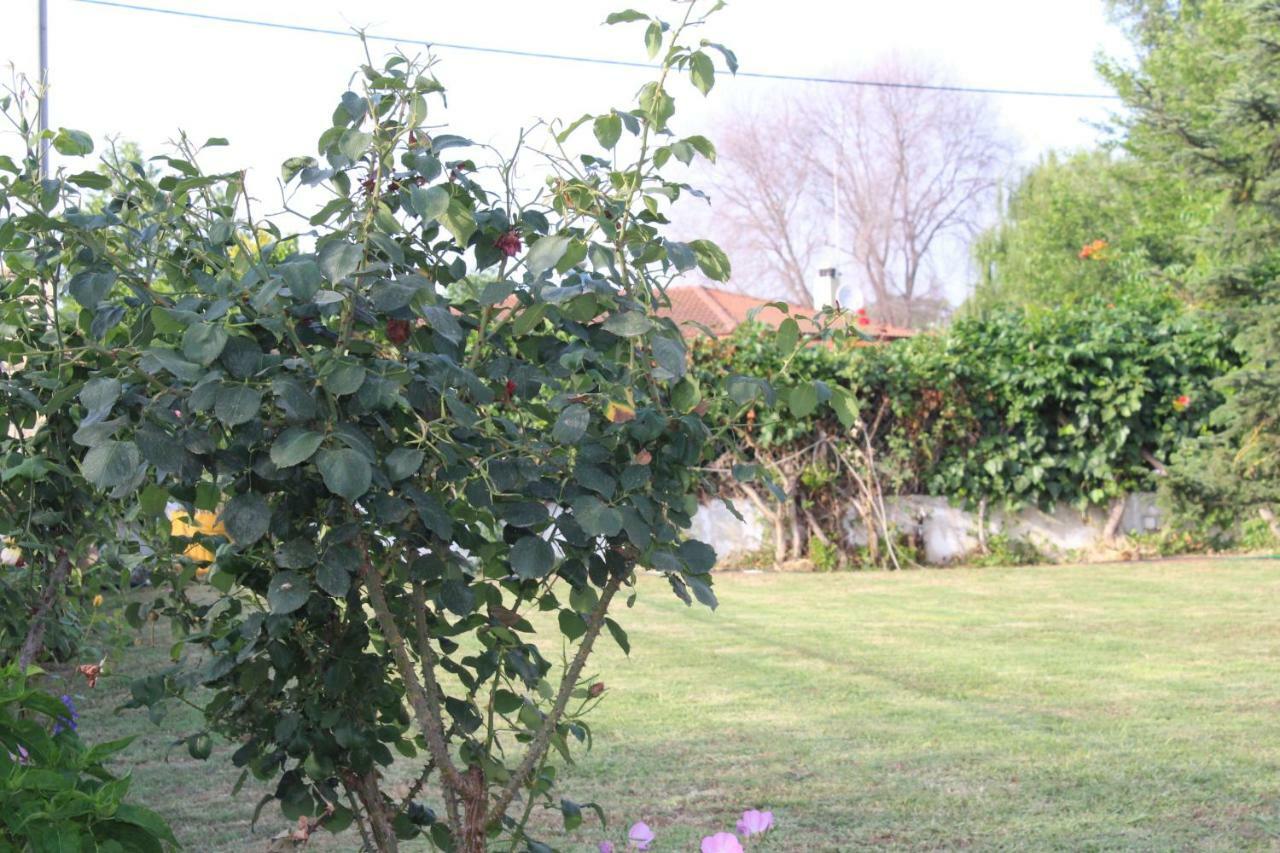 Maria'S Guesthouse Keramoti  Luaran gambar